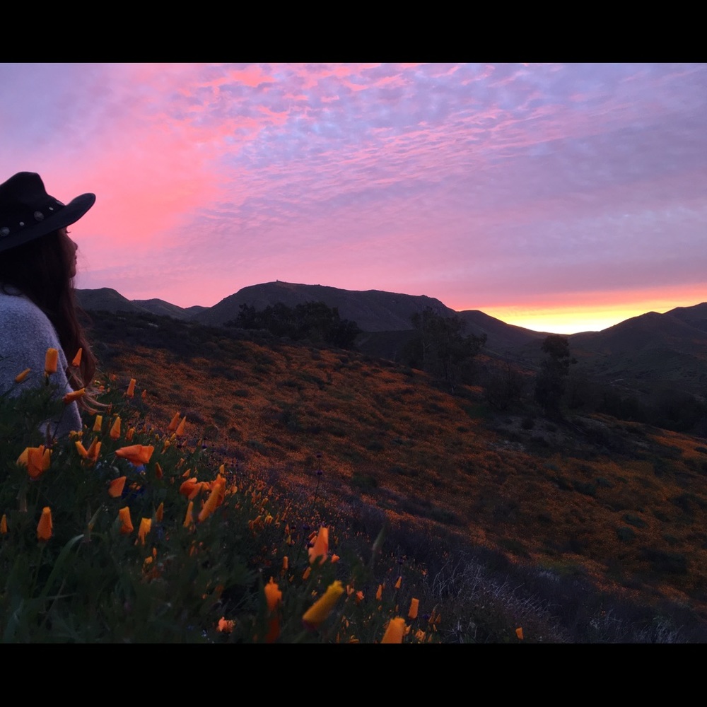 Meet your Posher, Lacy